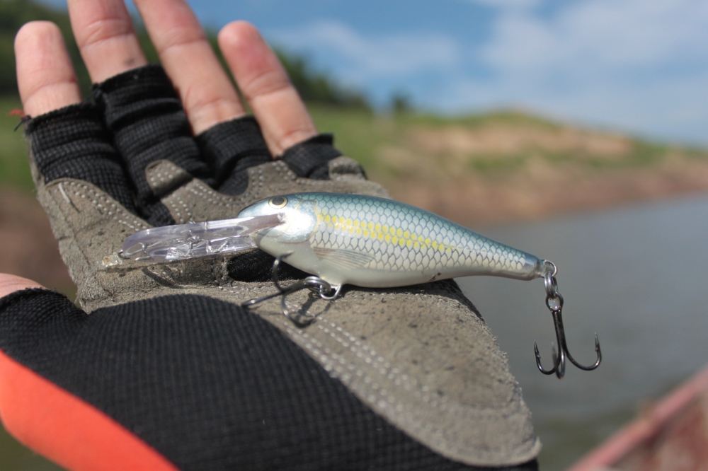 ลองค้นหา กันนะครับ RAPALA SR 7 ALB.............แค่นี้พอไหมครับ... :cheer: :cheer: :cheer: :cheer: :c