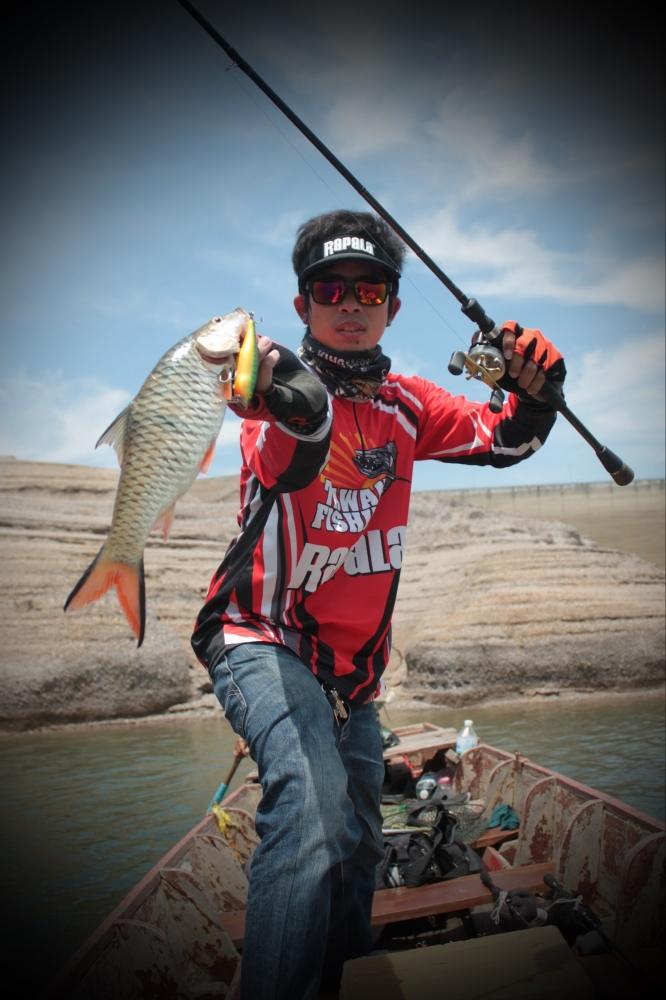 ก็ตีทั้งวันครับ......เหยื่อของ Rapala Skitter pop 9 Cm    มันซะใจจริงๆๆครับ     ไป   ...............