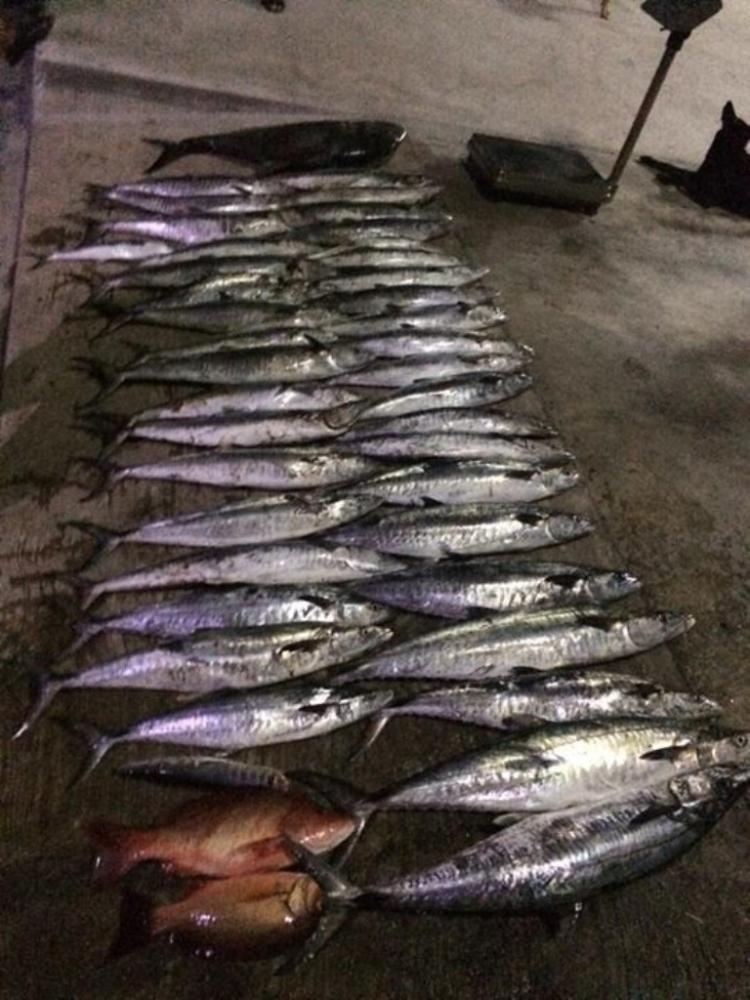 น้ำแข็งไปพอ ผมเอาอินทรีไปแลกกับน้ำแข็งจากเรือหางยาวชาวบ้านไป1ตัว ที่เหลือนับดูครับ

 :ohh: :ohh: