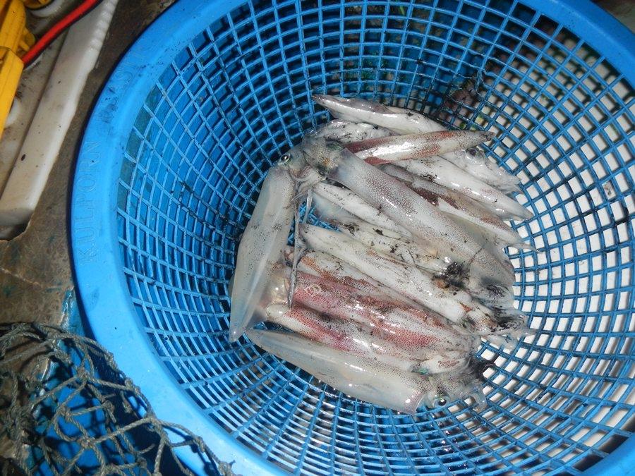 

      ของโปรด..สดๆอย่างนี้ต้องน้ำดำ.ครับ.