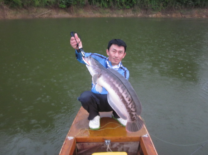 ของเคยๆเลยไม่ตื่นเต้นครับ