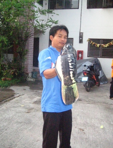 
พญานาค สังขะ :grin: :grin: :grin: :grin: :grin: :grin: :grin: :grin: :grin: :grin: :grin:




