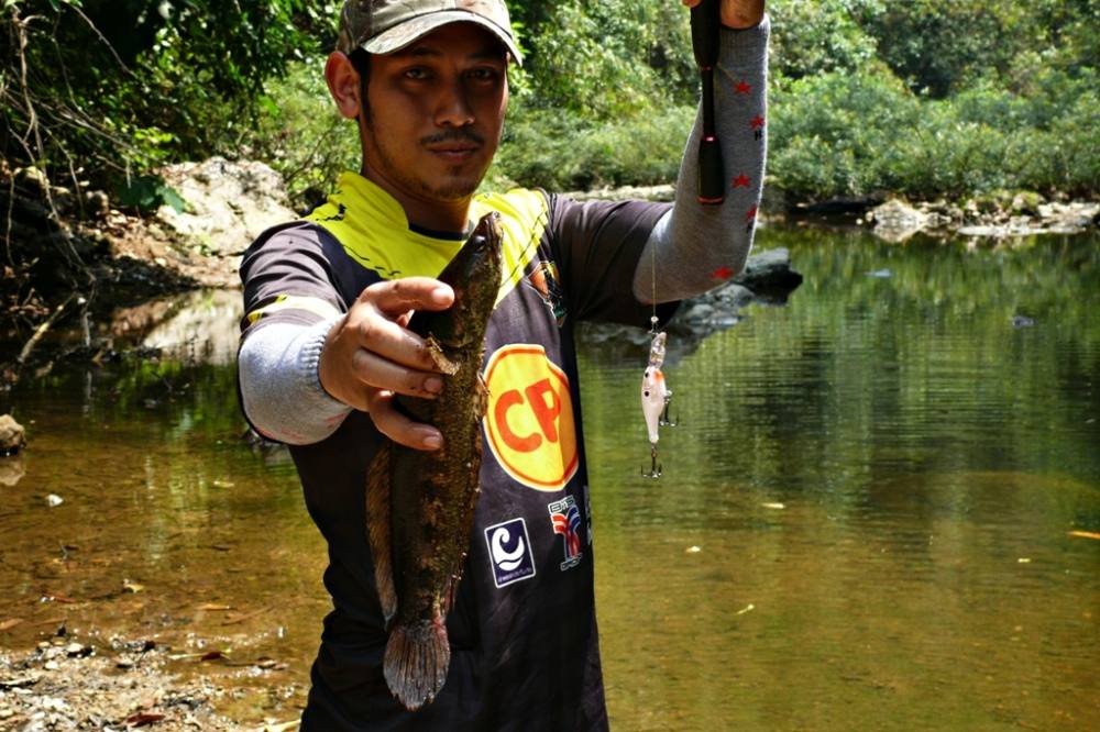 

 [center]กระสงป่ากับ [b]rapala glass shad rap gsr 4[/b] [/center] 

 [center] :grin: :grin: :g