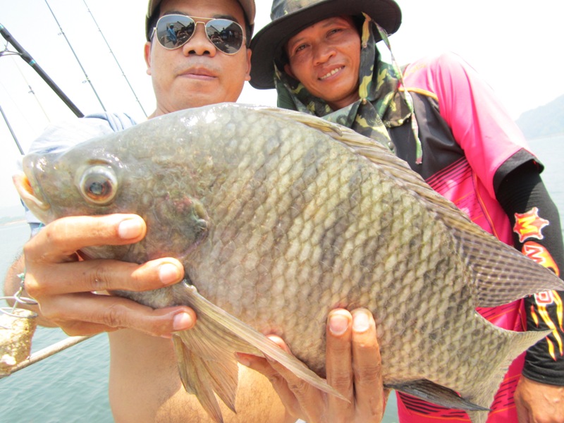 จับใด้พลเรือนมาหนึ่งนาย :laughing: :laughing: :laughing: :laughing: :laughing: :laughing: