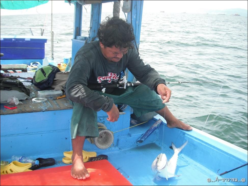 

ปลาขึ้นมาดีดดิ้นบนเรือใหญ่            ไต๋ดึงสายระวังเบ็ดหลุดสวน
พอหยุดดิ้นปลดปลาเติมจำนวน      