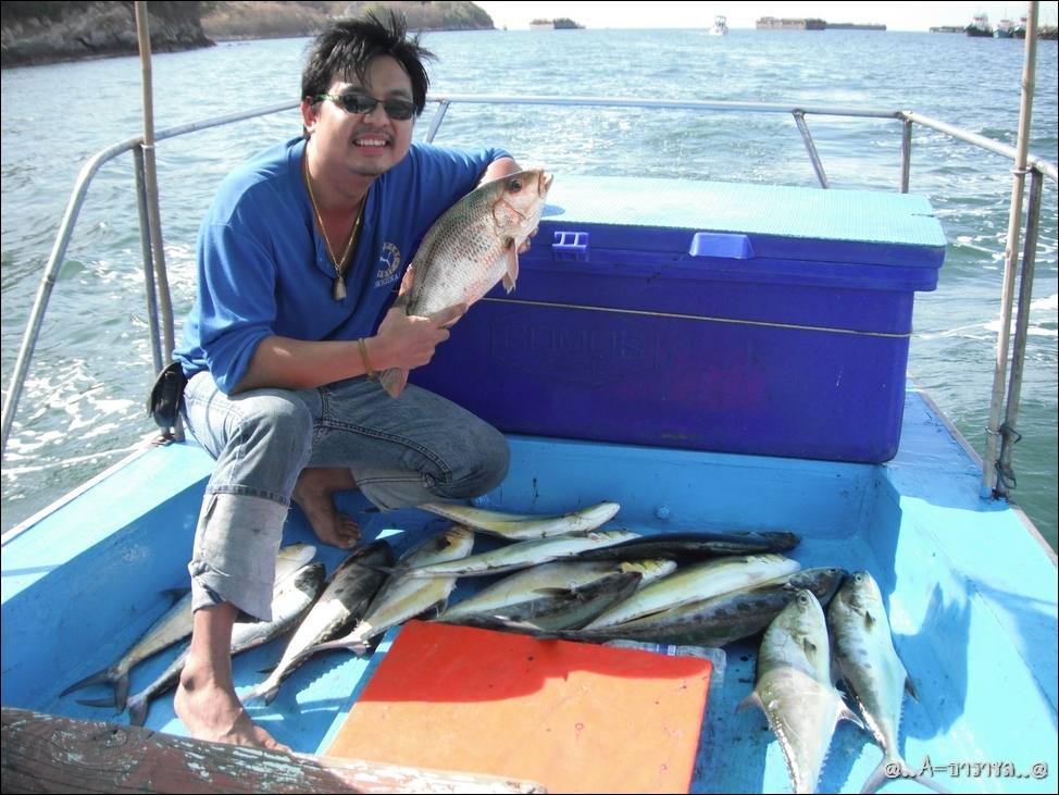 

ขอปลารวมท้ายเรือก่อนเข้าฝั่ง          แล้วลงนั่งถ่ายรูปเป็นหลักฐาน
ว่าครั้งแรกไต๋อ่อนพาสำราญ   