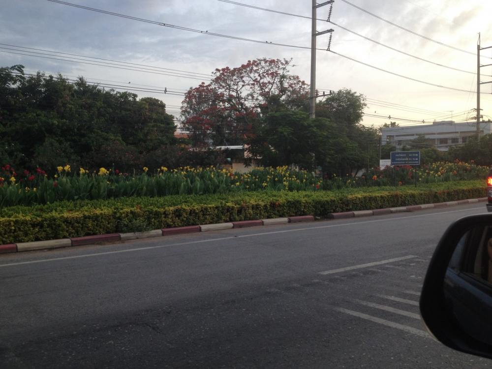 ใกล้ถึงที่นัดหมายแล้วครับเลยเก็บภาพไปเรื่อยๆ