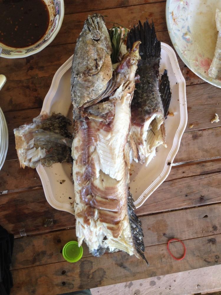   ตัวนี้ไข่เต็มท้องเลยนะครับขอบอก อร่อยฝุดๆ