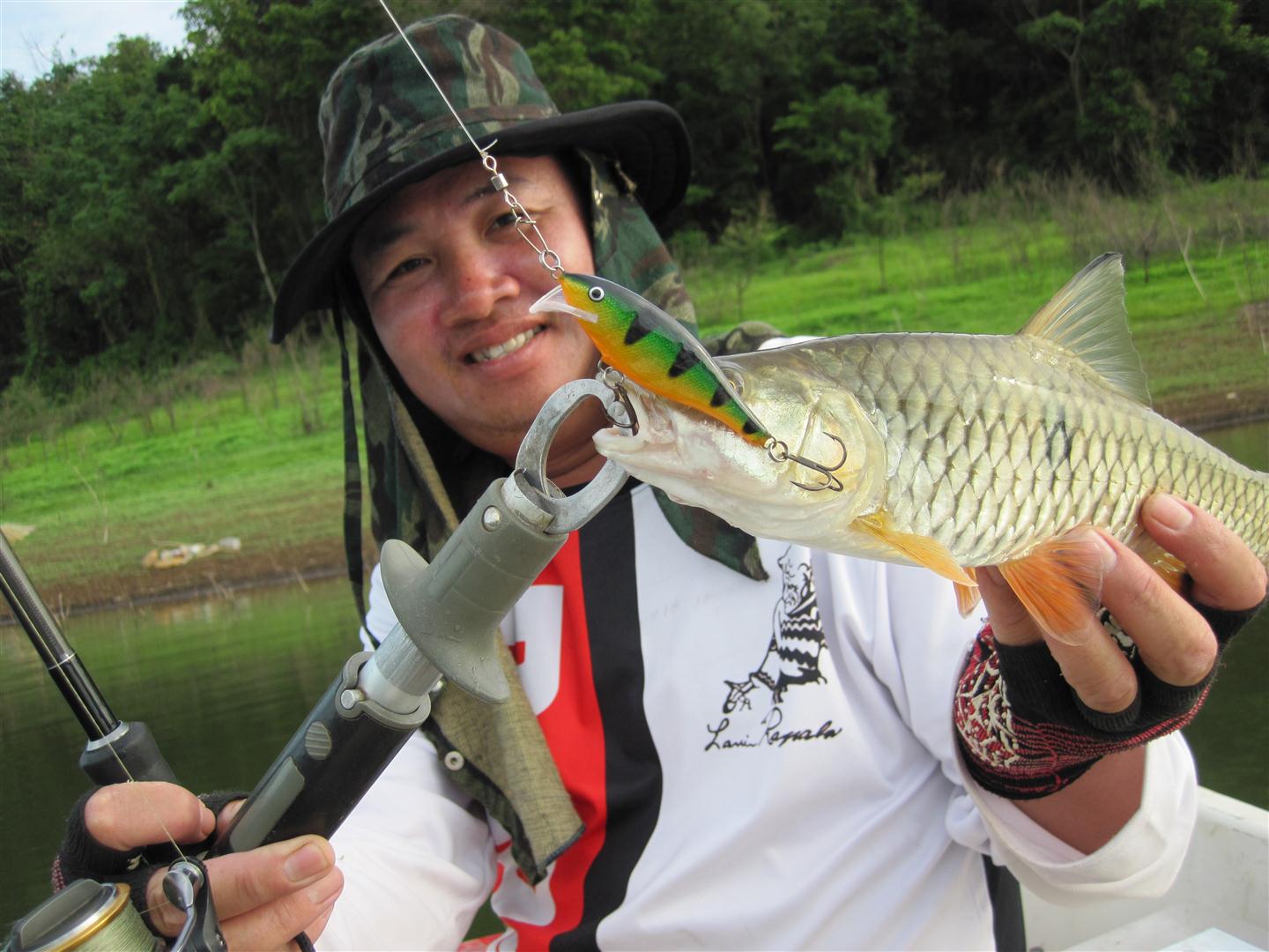      :grin: :grin:    [b]ตัวนี้โดน RAPALA  SCATTER RAP[/b]    

 :love: :love: