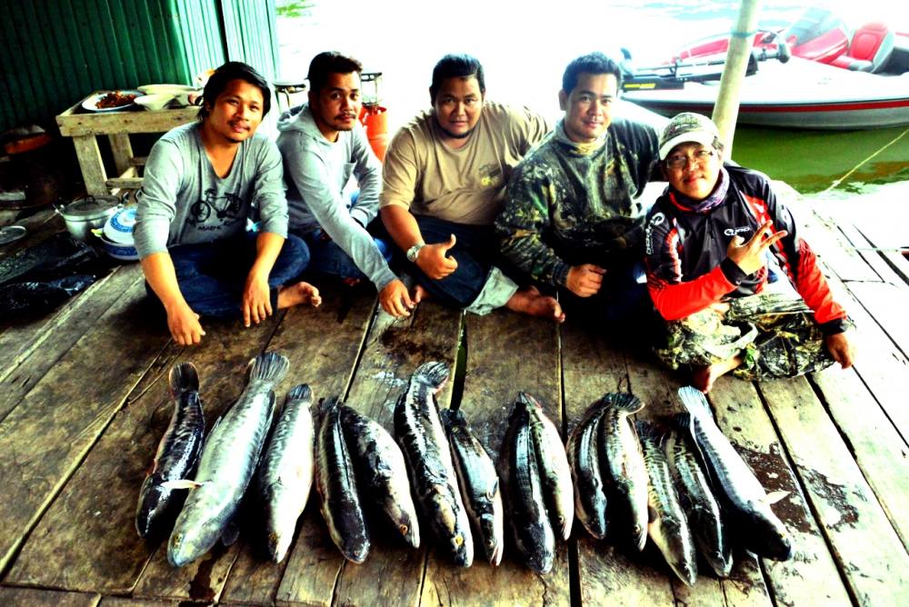  [center]ขอบคุณ www.siamfishing.com ครับผม[/center]
 [center]ขอบคุณ เพื่อนๆนักตกปลาทุกท่าน ครับผม[/