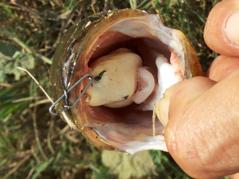 เต็มคำพอดีครับ
 :grin: :grin: :grin: :grin: :grin: :grin: :grin: