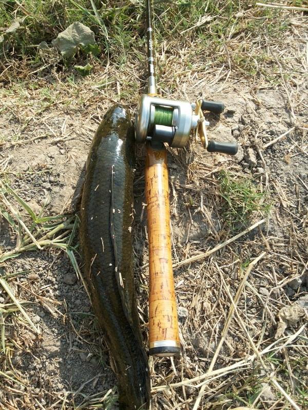  :grin: :grin: :grin: :grin: :grin: :grin: :grin: :grin: