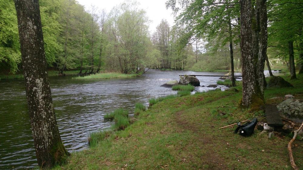 Morrum river ถือว่ามีความงดงามและรักษาสภาพเดิมๆไว้อย่างยอดเยี่อม