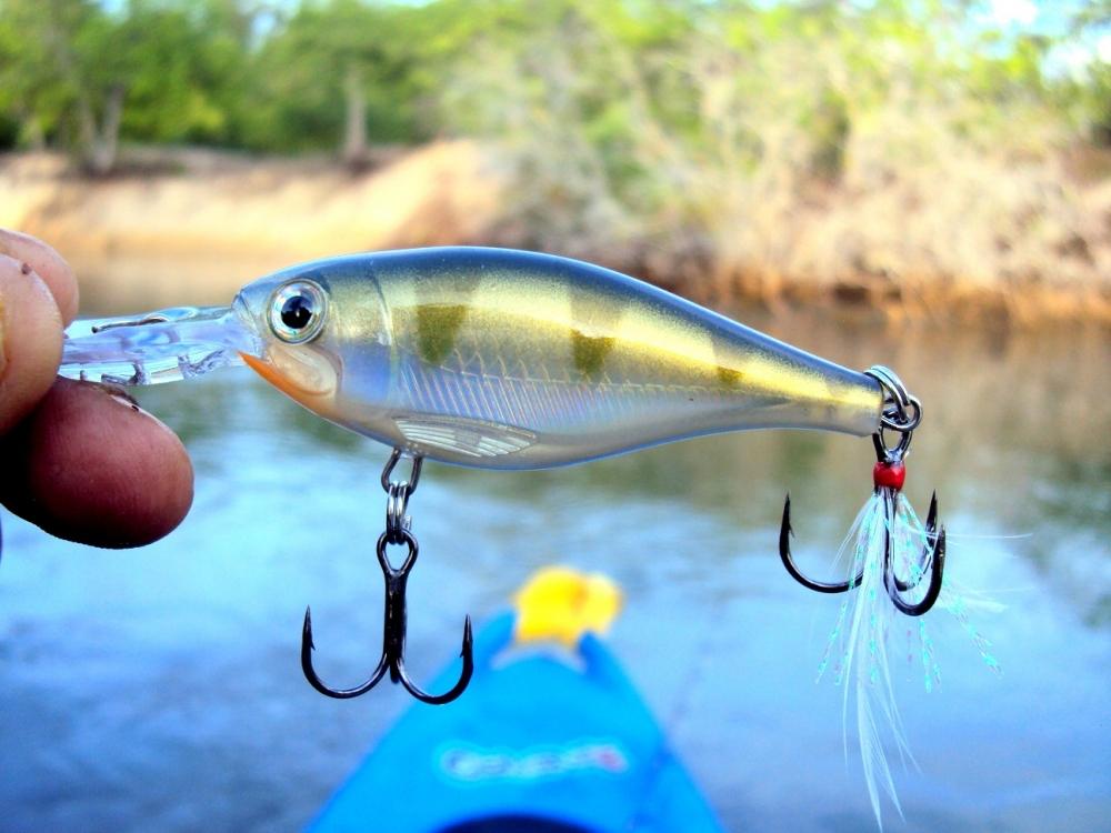 Rapala X_Rap Shad ได้จากน้าฉุย เนื่องจากกระทู้ลิ้นระเบิด น้าแกเลยจัดมาให้ทดแทนตัวเก่า ต้องขอขอบคุณ น