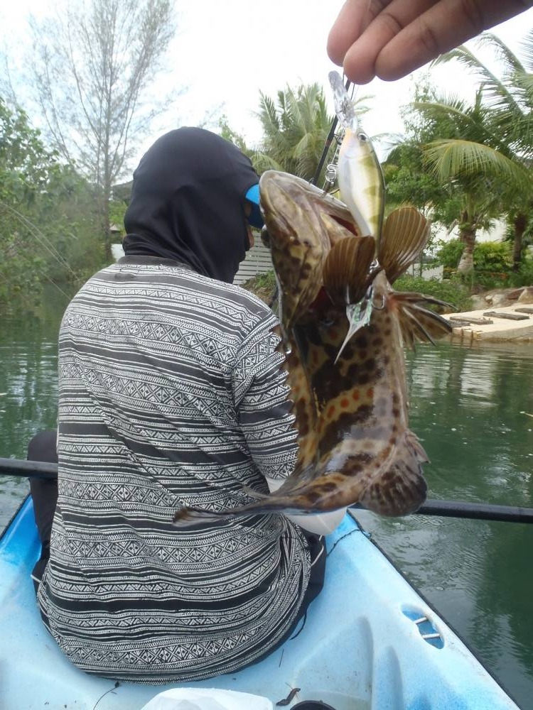 ตีเลาะกันมาสักพักผมก็ทำแต้มจนได้ ด้วย Rapala X-Rap Shad ตัวใหม่แกะกล่อง ของฝากจากน้าฉุยเขา เท่ากันแล