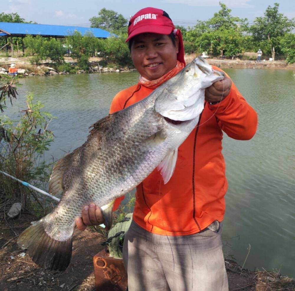 สดไม่สดแปดริ้ว