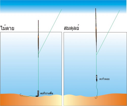 [q][i]อ้างถึง: lampang26 posted: 27-05-2557, 18:34:11[/i]

น้าคับตกแม่นำ้แบบนี้ใช้คันยาวเท่าไหร่คั