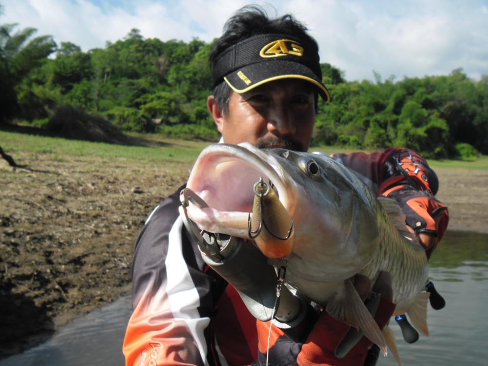 ข้าศึกจักอหังการเพียงใด เจ้า ก็หลงกลเจ้า  T TEBO  จนใด้แลยิ่งพันธนาการด้วย สาย MUSTAD แล้วไซร์ ยิ่งห