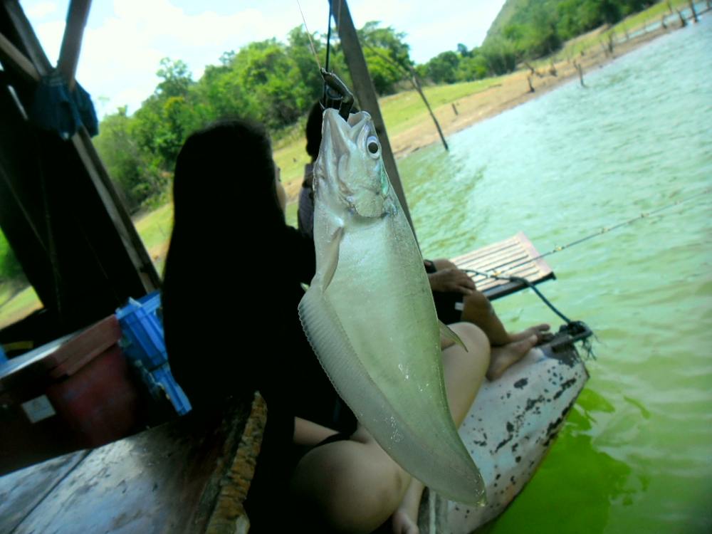 ปิดหน้าปิดตาดีนัก โดนสอนเชิงซะเลย เป็นงัยพ่อเก่งมั๊ย :laughing: :laughing: :laughing: :laughing: :la