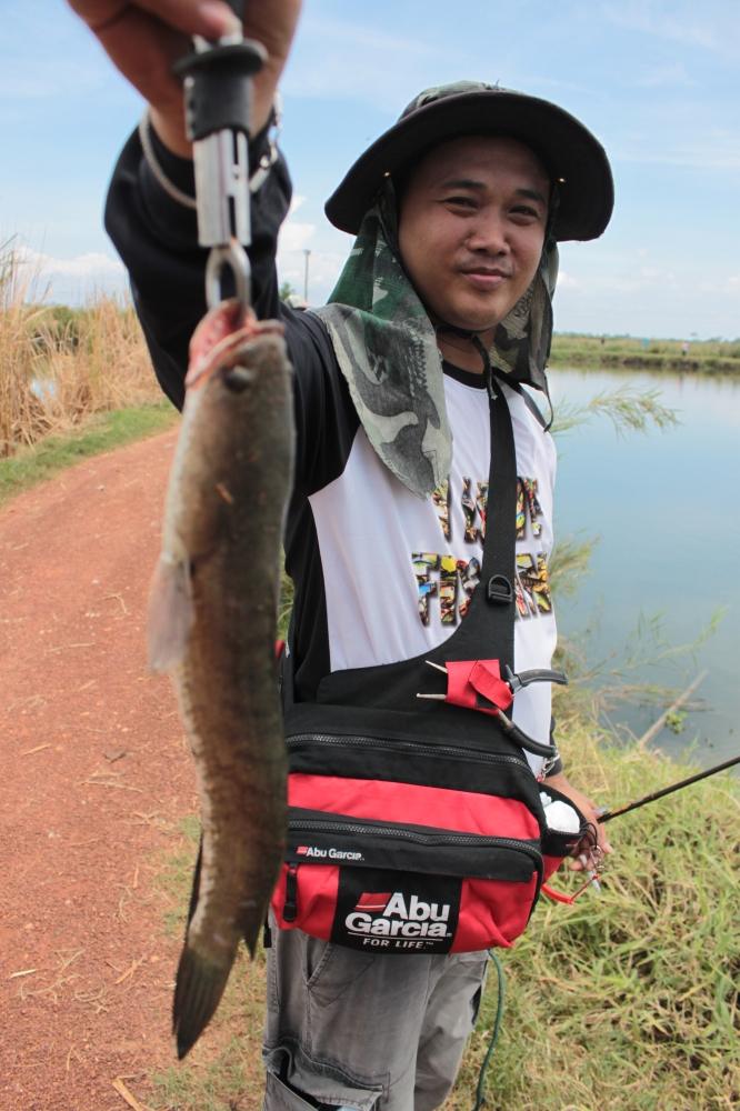 เสื่อสวยๆๆๆ Cool Angler  :cheer: :cheer: :cheer: :cheer: :cheer: :cheer: :cheer: