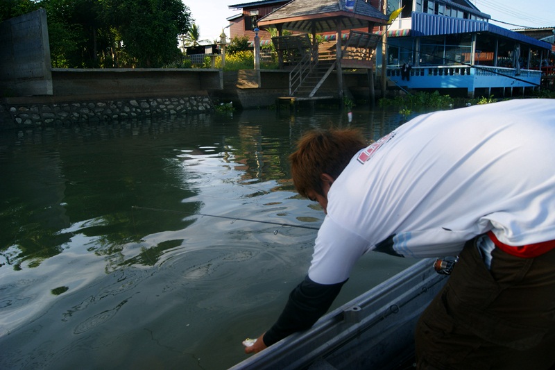 เมื่อจัดแจงถ่ายรูปเสร็จสับ ก็ปล่อบกลับคืนสู่ธรรมชาติ  :love: :love: :love: :love: