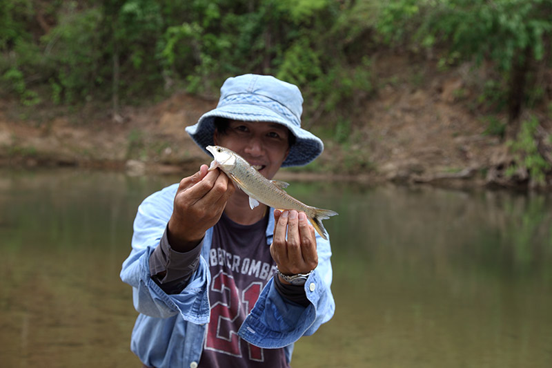 ปลาสะนาก (Burmese trout) ตามหากันตั้งแต่แก่งกระจานดันมาเจอกันที่แม่ฮ่องสอน
ตัวจริงสวยมากครับ 