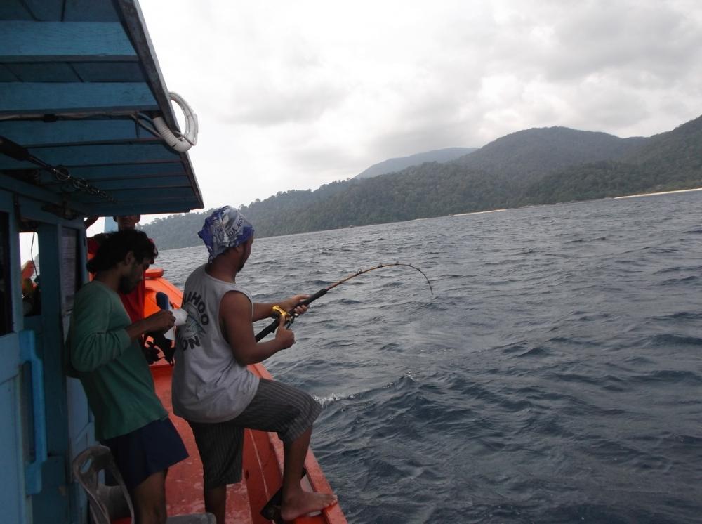 เรือจอด ลงเหยื่อ โปรหยัด ทำงานทันที