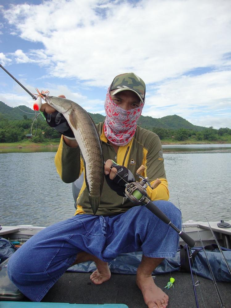 [b][center] :umh: :umh: วิ่งเรือเข้าไปไกรเกรียง โดนลูกปลาช่อนมาตัว  :umh: :umh:[/center][/b]