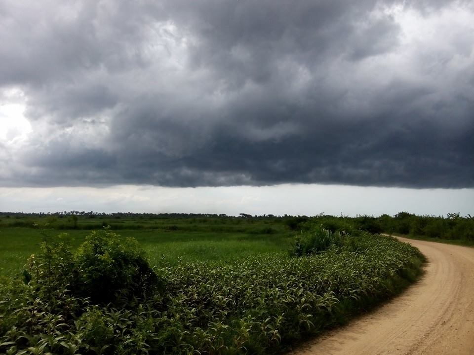 เมฆฝนลักษณะนี้แปลกดีครับ เรียงหน้ากระดานมาเลย จะว่าสวยก็สวยจะว่าน่ากลัวก็น่ากล้ว