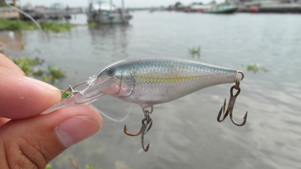 


 [center] [b]    :heart: :heart: :heart: :heart:  Rapala 5cm ALB  :heart: :heart: :heart: :hea