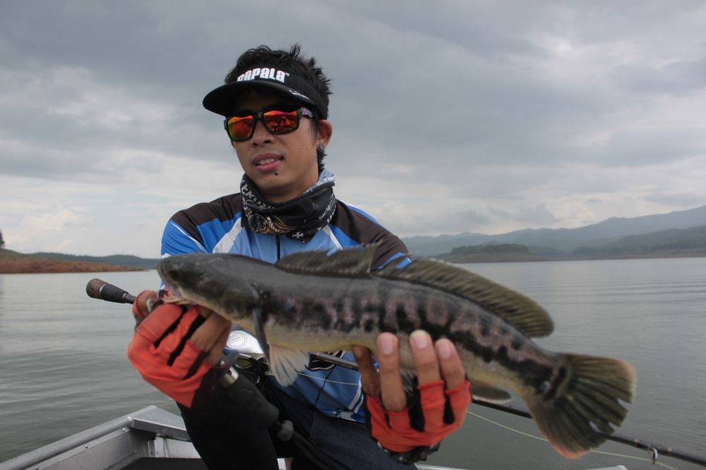 บางคนอาจหาทั้งวัน.....กัดเป็น สิบ.......โดนเหยื่อเป็นรู......ไม่โดนบ็ดก็มีนะครับ  ดวง จริงๆๆๆๆๆๆๆๆๆๆ