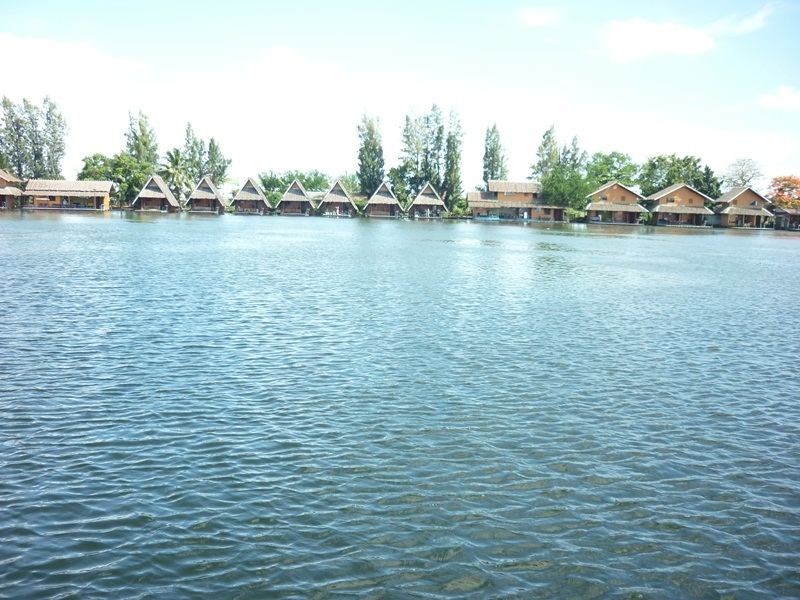 



                                   เอ็นโหลดหน้าตัดยี่สิบกว่าปอนด์ ในจุดผูกเงื่อนเหนือตะกร้อผ