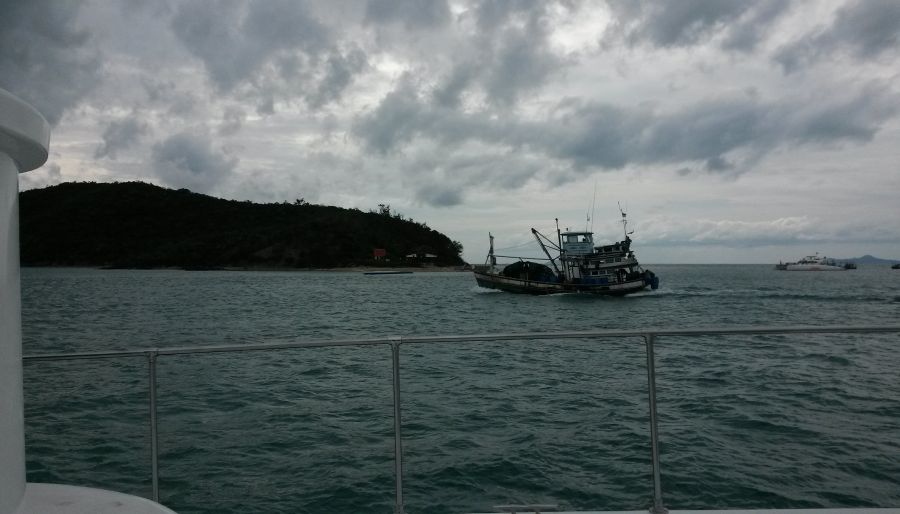 เราปล่อยเรือไหลตามน้ำมาถึงเกาะเป็ด แล้วแวะไปดูลิงกัน