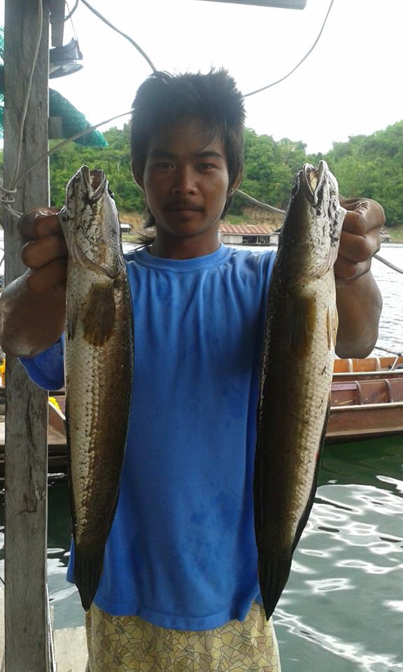 เอากันเช้าไปไต๋เอ็ม....2 ช่อน :love: :love: :love: :love: :love: :love: :love: