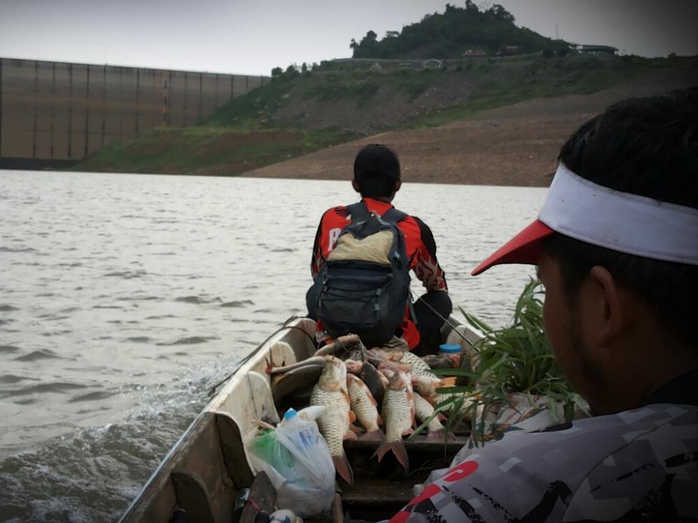 ............PASAK...........