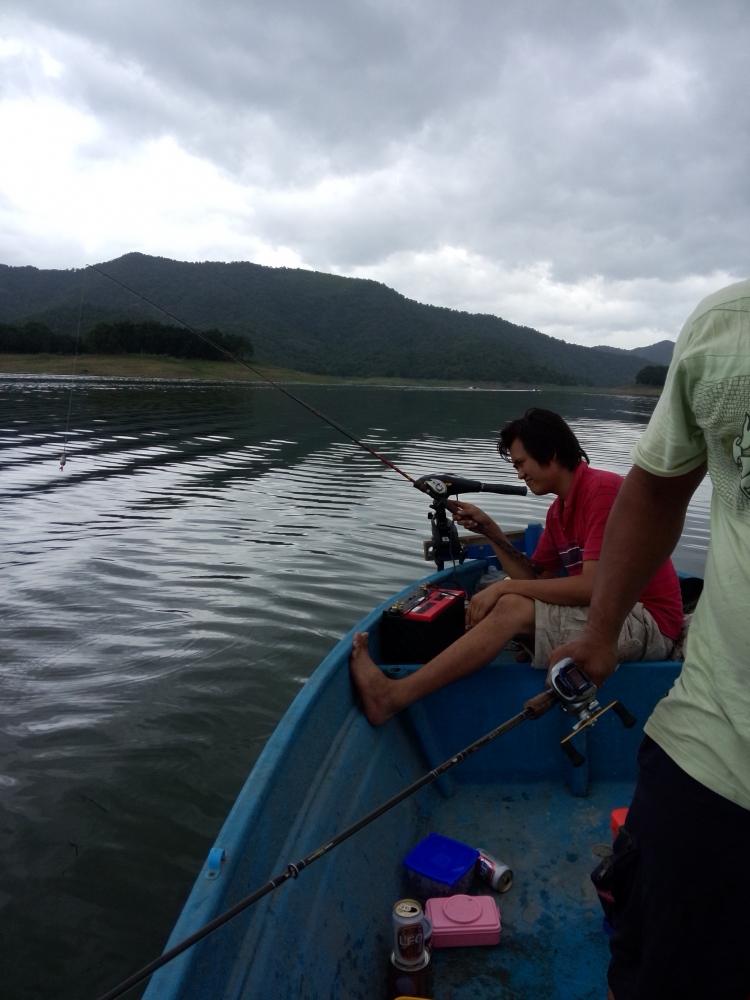 ภาพนี้เป็นภาพหลังจากถ่ายรูปน้าชัยเสร็จ ปลาขึ้นข้างๆๆเรือ กล้องโทรศัพท์วางแทบไม่ทัน รีบหวดกันใหญ่ ส่ว