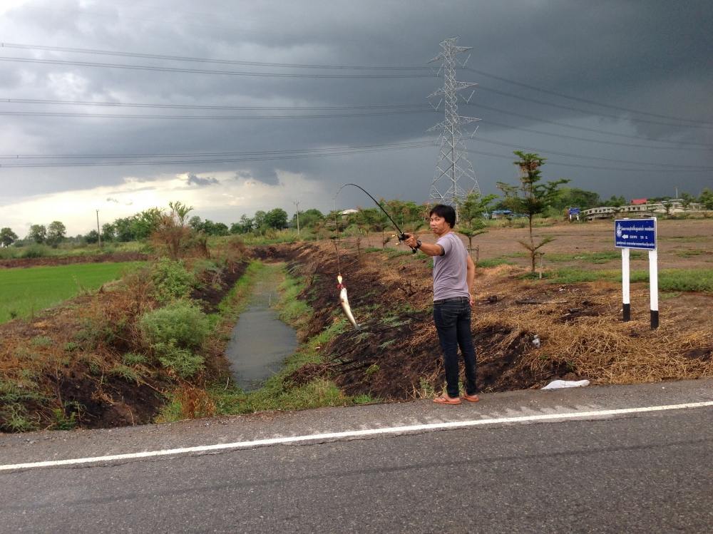 ภูมิใจเนอะ ตีเหยื่อเจ้าของ แล้วปลากัด :laughing: :laughing: