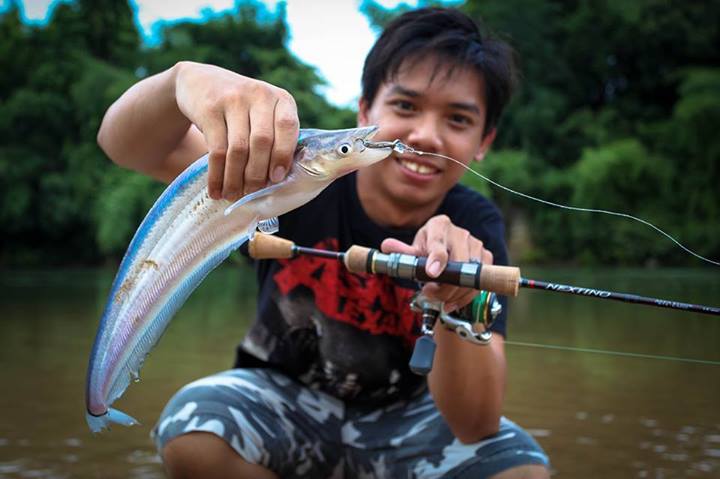 ปล่อยซะ ปลาน้ำเงิน :grin: