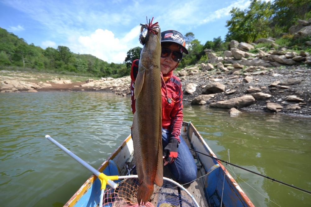 [center] พอป้าหนิงตื่นขึ้นมา เรือเข้าหุบพอดี หวดไปแถวริมตอไม้ใหญ่ โดนตัวนี้ฉวยเหยื่อขึ้นมาเลยค่ะ  :l