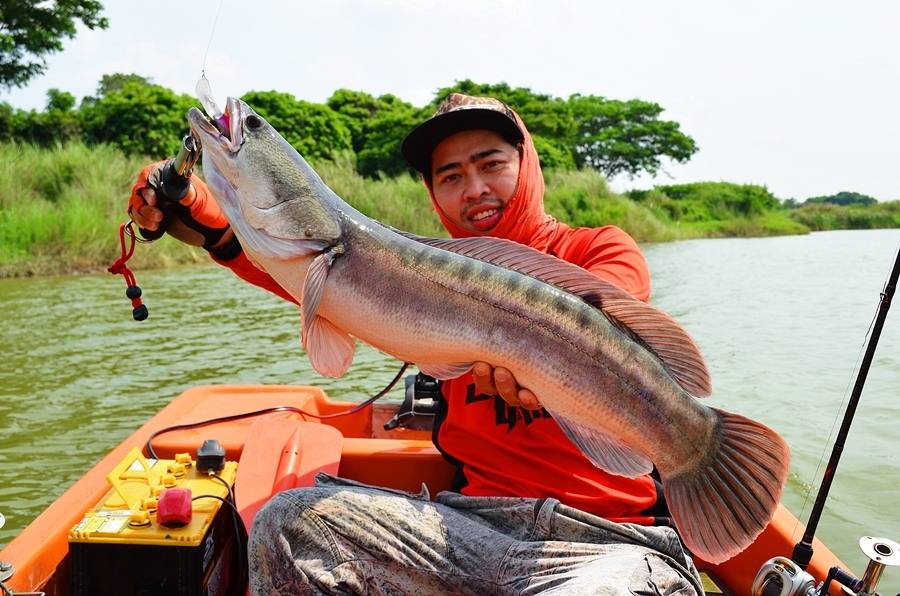 


 [center]หล่อจนได้ ^^ พี่บี ^^ ... กับ ปลาจิบ ไซส์สวย ๆ เลยตัวนี้  :umh:


[b]Fish : Snake 
