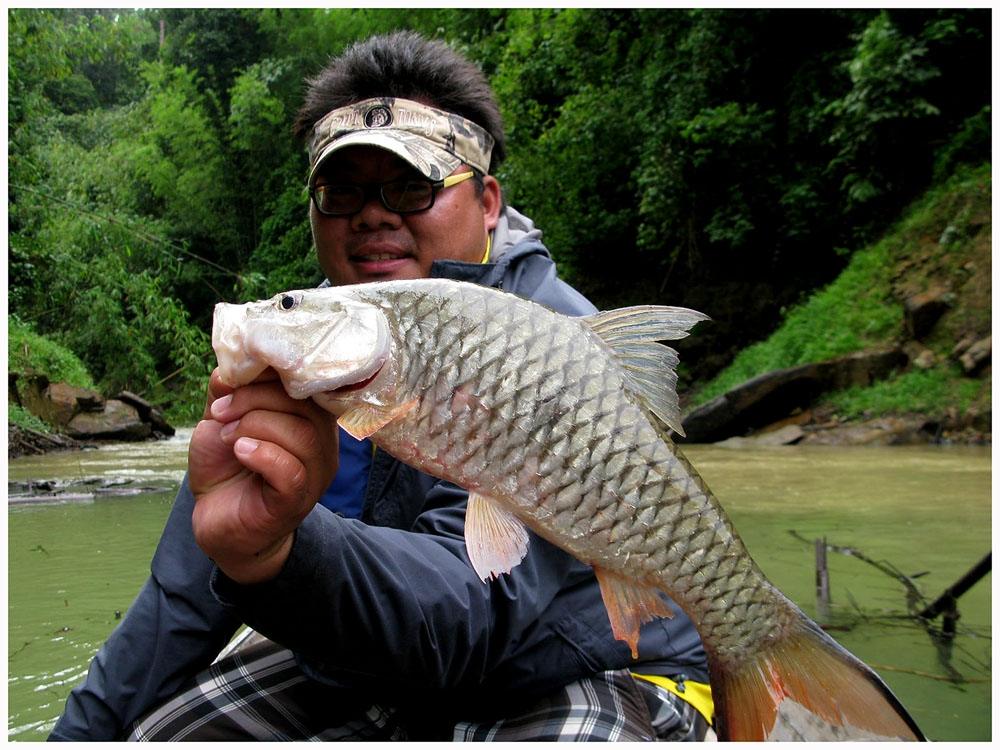 น้องกิต จัดขึ้นมาอีกตัว :grin: