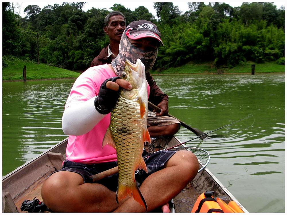 ปากห้วย  ก่อนเราจะพักเที่ยงทานข้าวกัน  ลุงแหวงพายเรือผ่านหัวแหลม

ผมส่งเหยื่อกบกระโดด ตีผ่านแนวสาห
