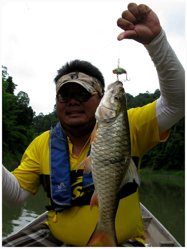 เรือเราลัดเลาะไปตามคลองเอก

มีน้ำแดงไหลลงมาเหมือนกัน แต่ปริมาณมาก  จอดเรือไม่ได้เลย  เรือไหลตามน้ำ