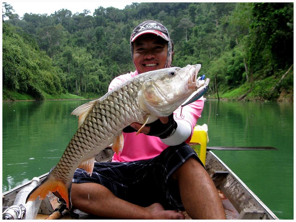 ตัวนี้กินเหยื่อ B freeze  10 cm. นะครับ :grin: