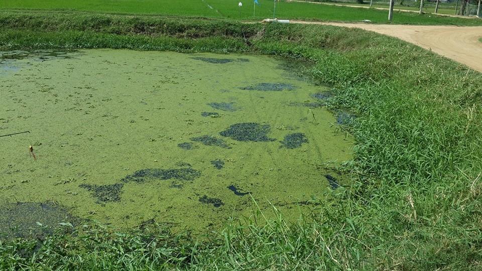 เวลามีน้อยต้องรีบย้ายหมายคับตียังไม่ทันทั่วเลย