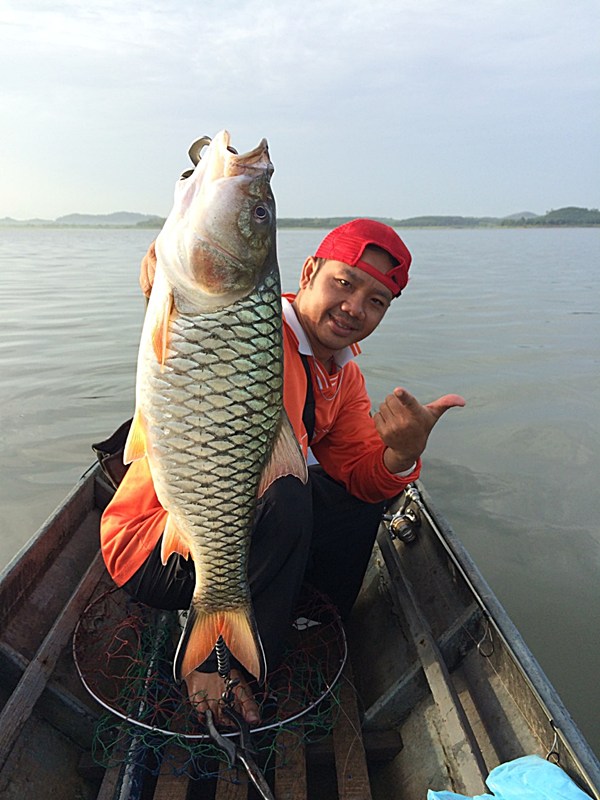 ในความคิดส่วนตัวของผมนะครับการที่ไต๋ต้อมตกปลาด้วยมีประโยชน์ในหาระดับน้ำและช่วยเป็นการช่วยเช็คหาฝูงปล