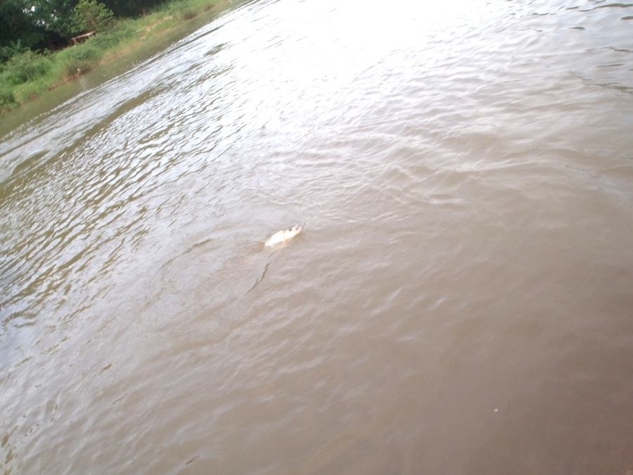[q][i]อ้างถึง: มณีนพเก้า posted: 01-07-2557, 22:48:35[/i]

ติดตาม ชมครับ  :sleeping: :sleeping: :s