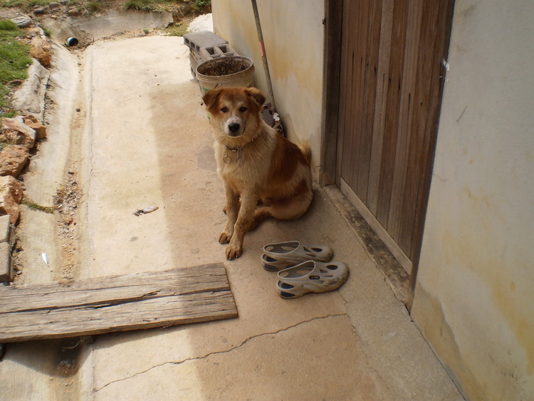 อย่าให้ตรูรอนานน่ะ..........รอนาน เดี๋ยวมีเรื่อง :grin: :laughing: :laughing: :laughing: :laughing: 
