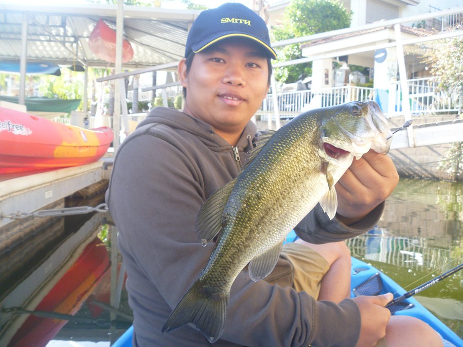 [b] [center]

Large Mouth Bass ของน้องน๊อบ ไซร์สวยครับ

[/center][/b]