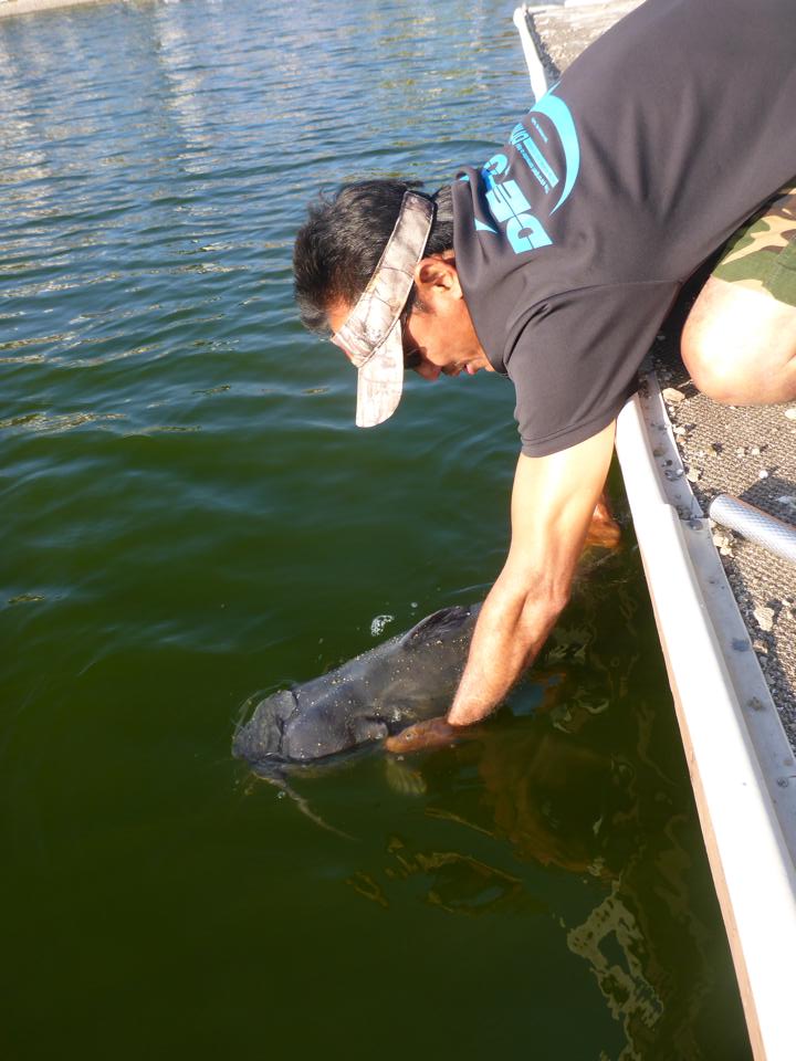 [b] [center]

Catch and release ทุกตัวครับ 

[/center][/b]